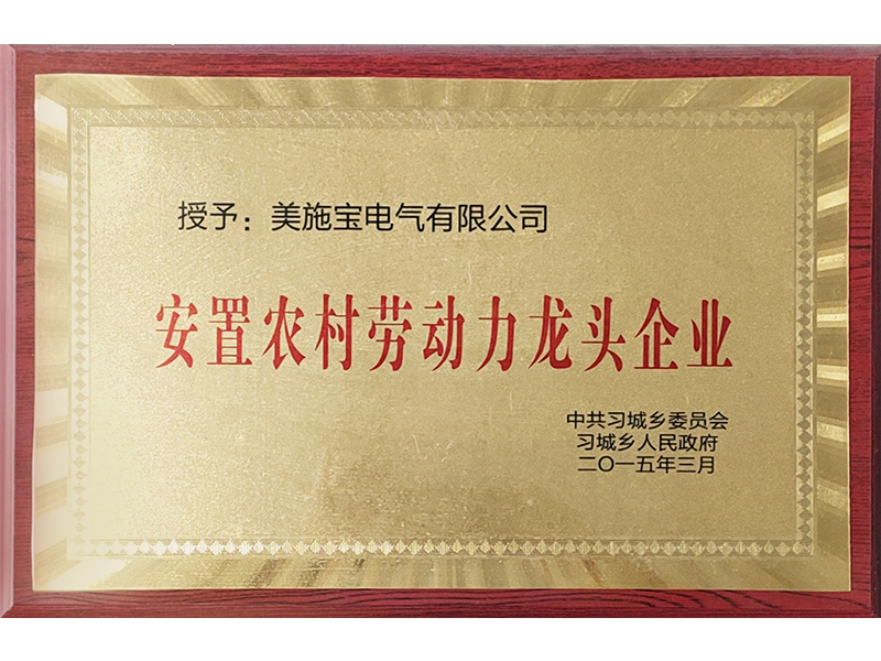 安置農(nóng)村勞動(dòng)力龍頭企業(yè)